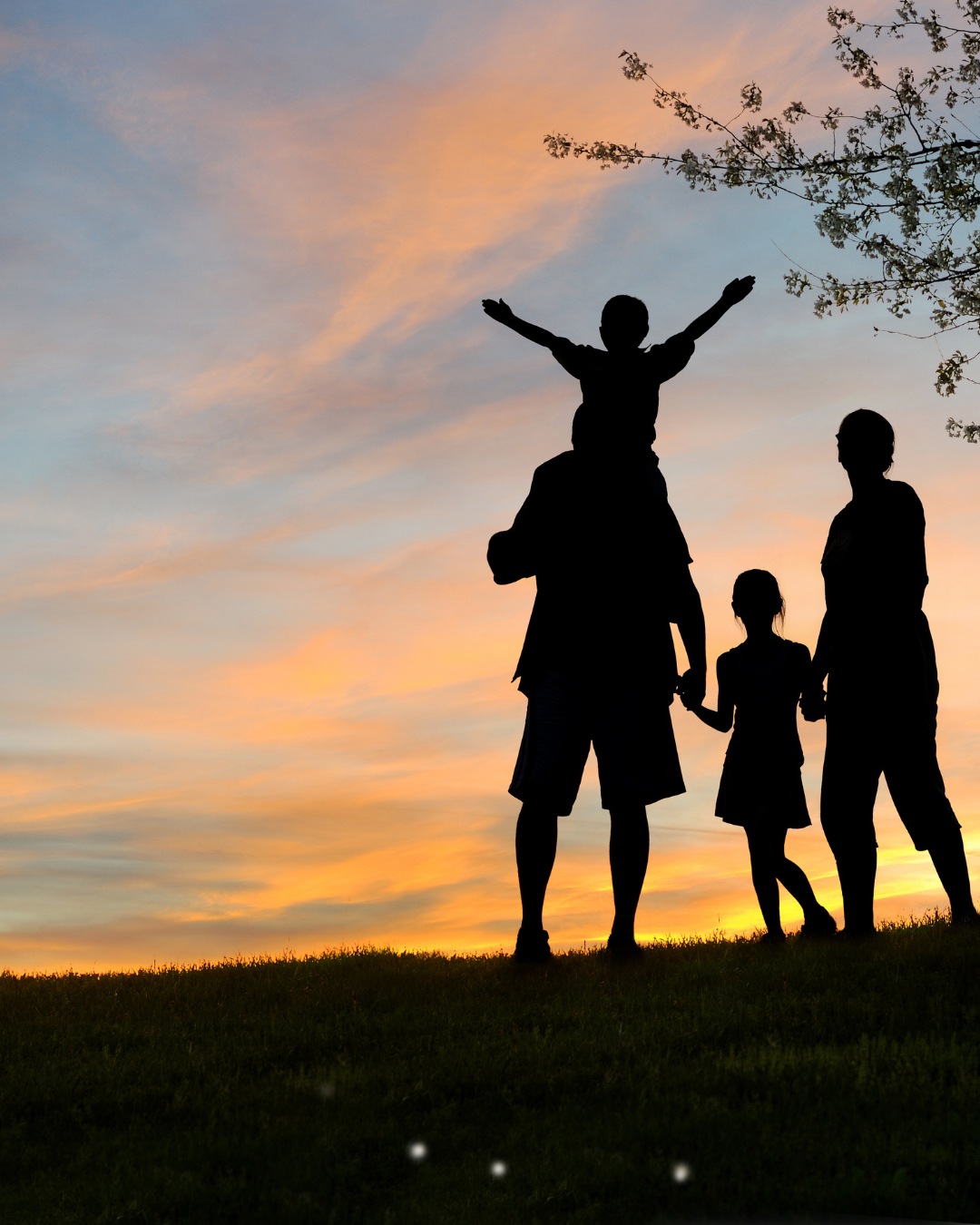 Tu hogar, protegido como nunca antes (11)