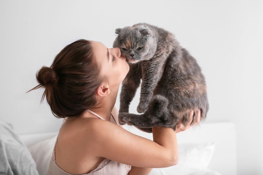 seguro gatos seguro gatos